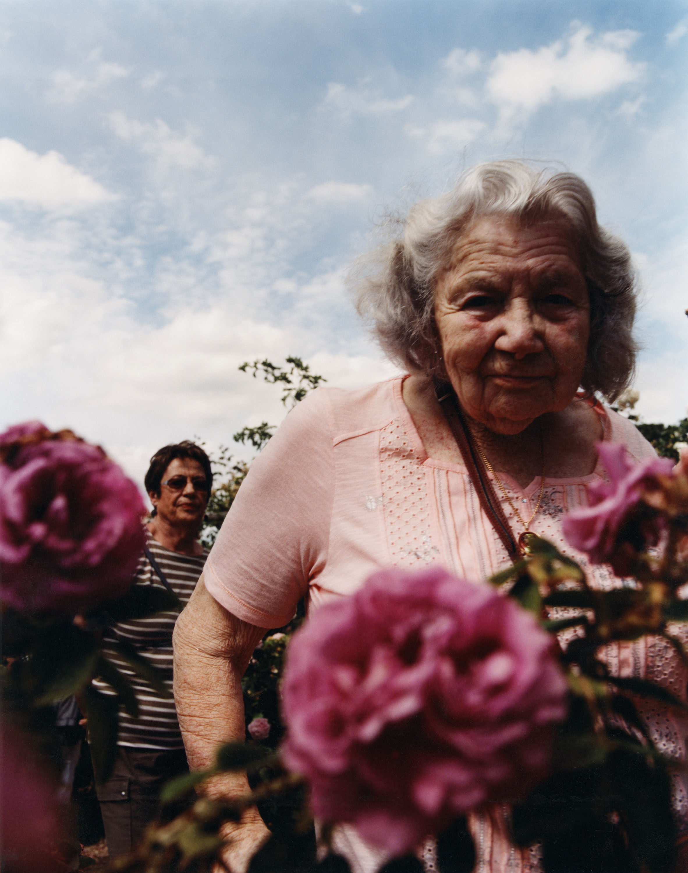 Roses of Paris - © Maciek Pożoga