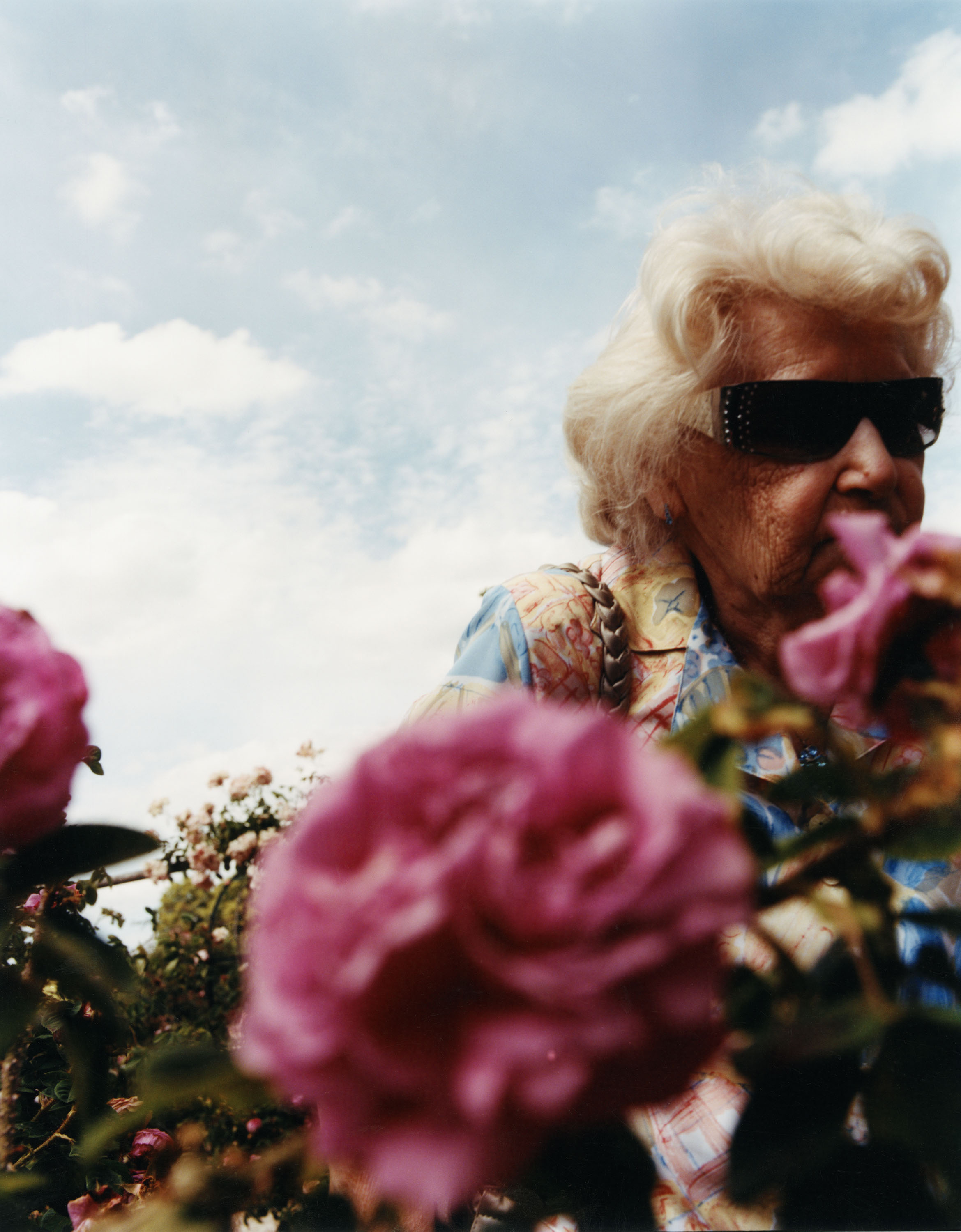 Roses of Paris - © Maciek Pożoga