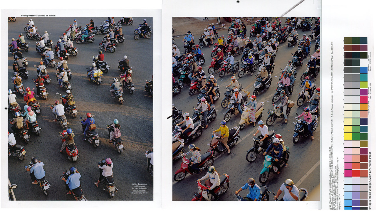 I spent some time in Hô Chi Minh City, Vietnam, for a photo essay for *Air France Magazine*. I mostly wondered around the busy markets in the suburbs; I also met several falconers in a field, who drove me back to the city-centre on a Honda scooter shared with three falcons. The birds were sat on a bar at the front, wearing masks so they didn’t freak out against the oncoming traffic. - © Maciek Pożoga
