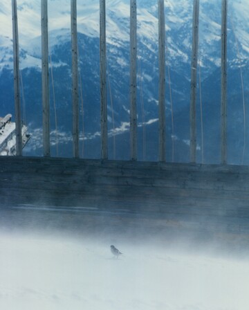 Extracts from two distinct stories I shot for *Saint Moritz Magazine*, one about *Laglaufers* (cross-country skiers) and one about the infrastructure and machines of the station. In collaboration with my best skiing assistant Lucas Mathon. *{Art Direction by Carol Montpart}* - © Maciek Pożoga