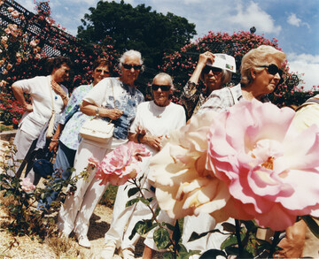 I documented the first roses of June, and their admirers, in various rose gardens around Paris. - © Maciek Pożoga