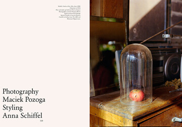 A photograph of an apple under a glass display dome, taken at my friend Camille’s Log Cabin in Le Marais de Bourges. - © Maciek Pożoga