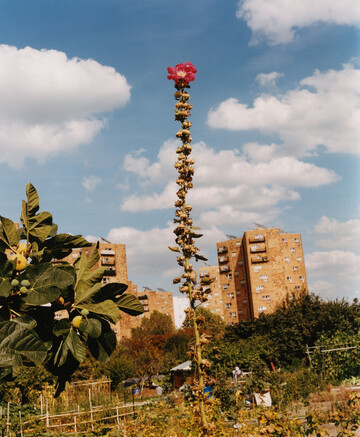 *Jardins des Vertus*, Juillet 2019 - © Maciek Pożoga